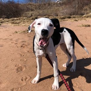 Meet your Posher, Emma